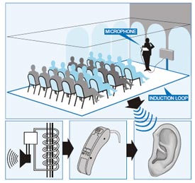 Example induction loop system